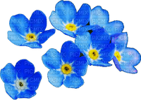 fleur Pelageya gif animation - bezmaksas png