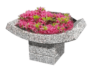 Kaz_Creations Flowers Plant Deco Vase - nemokama png