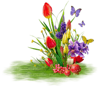 Cluster.Spring.Flowers.Red.Yellow.Purple - фрее пнг