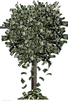 money tree bp - 無料png