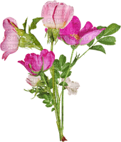 Flores - ücretsiz png