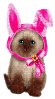 Easter Cat - darmowe png