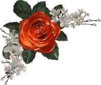 red rose Bb2 - nemokama png