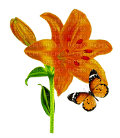 Fleur-orange-lys-papillon - png gratis
