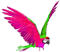 Parrot.Pink.Green - Free PNG