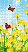sarı çiçeklerde kelebekler - Kostenlose animierte GIFs
