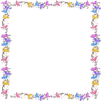 cadre papillon butterfly frame gif