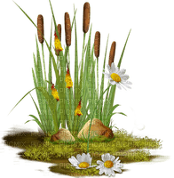 Bloemen en Planten - png gratis