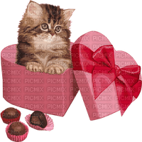 Valentine's Day valentinstag milla1959 - 免费PNG