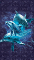 dolphins bp - Безплатен анимиран GIF