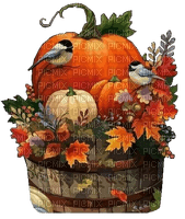 nbl-autumn pumpkin - png ฟรี