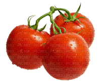 nbl-tomato - png gratuito