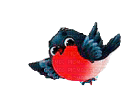 bird by nataliplus - Animovaný GIF zadarmo