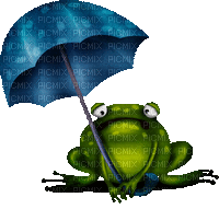 grenouille-frog -rain-pluie - GIF animé gratuit