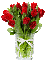 tulipany - Δωρεάν κινούμενο GIF