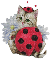 Kaz_Creations Ladybug-Ladybird-Costume-Cat - PNG gratuit