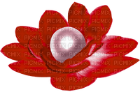 Flower.Pearl.Red.White - zadarmo png