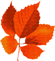 Leaf.Orange - PNG gratuit