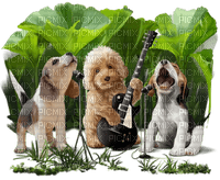 loly33 chien musique - gratis png