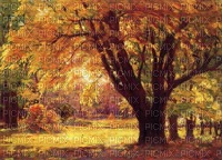 Fall Background-RM - nemokama png