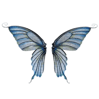 Fairy Wings - nemokama png