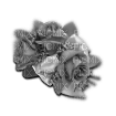 Grayscale Corsage - gratis png