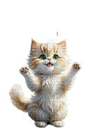 Gato -- Rubicat - 免费PNG