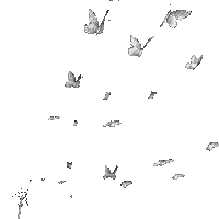 Papillons - Ilmainen animoitu GIF
