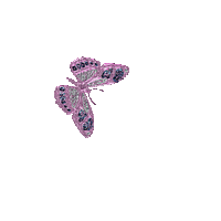 chantalmi   butterfly papillon arc en ciel rainbow - Бесплатный анимированный гифка