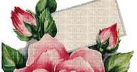 flower/text box - nemokama png