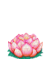 Lotus Fairy - GIF animate gratis
