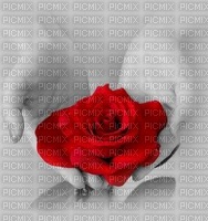 flor - 無料png
