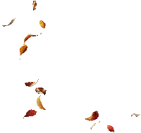 autumn leaves gif (created with gimp) - Free animated GIF