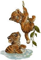tigre - Animovaný GIF zadarmo