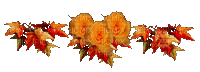ruže - Nemokamas animacinis gif