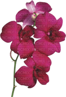 Цветок - nemokama png