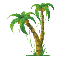 palm tree gif palmier🌴🌴