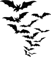 bats - zdarma png
