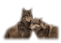 Tube Animaux Loup - ilmainen png