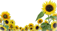 soave deco flowers sunflowers border field yellow - ücretsiz png