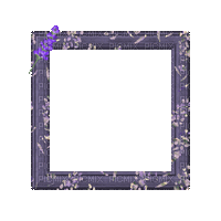 Small Purple Frame - GIF เคลื่อนไหวฟรี