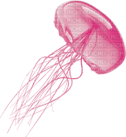 pink jellyfish Bb2 - png gratuito