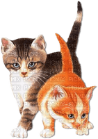 soave cat animals deco friends orange brown - 無料png