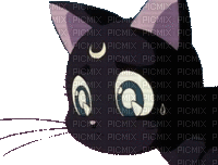 sailor moon cat luna gif - GIF animé gratuit
