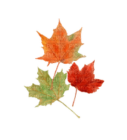 autumn leaves Bb2 - png gratis