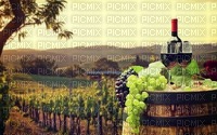 fond vineyard bp - ücretsiz png
