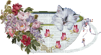 Spring Cat in Cup - GIF animé gratuit