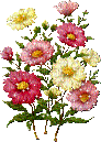 Ladybird - FLOWERS - GIF animate gratis