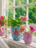 FLOWERS IN WINDOW SILL - Free animated GIF