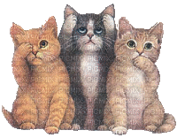 trois chats - Free animated GIF